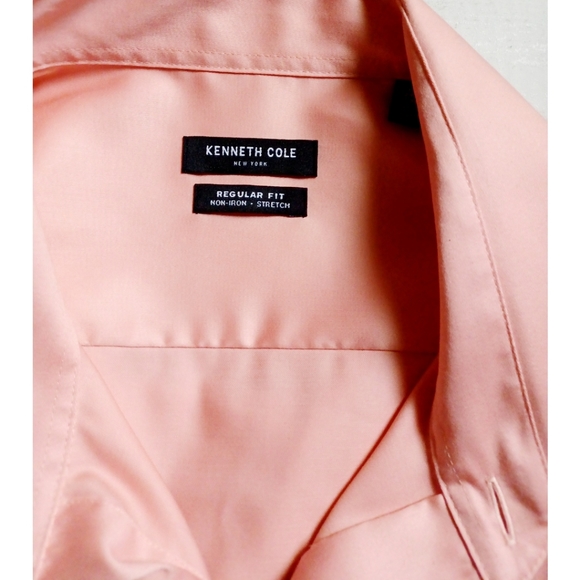 Kenneth Cole Regular Fit Non-Iron Dress Shirt - Picture 6 of 10